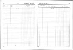 Dilman Serbest Meslek Defteri Plastik Kapak 48 Yaprak