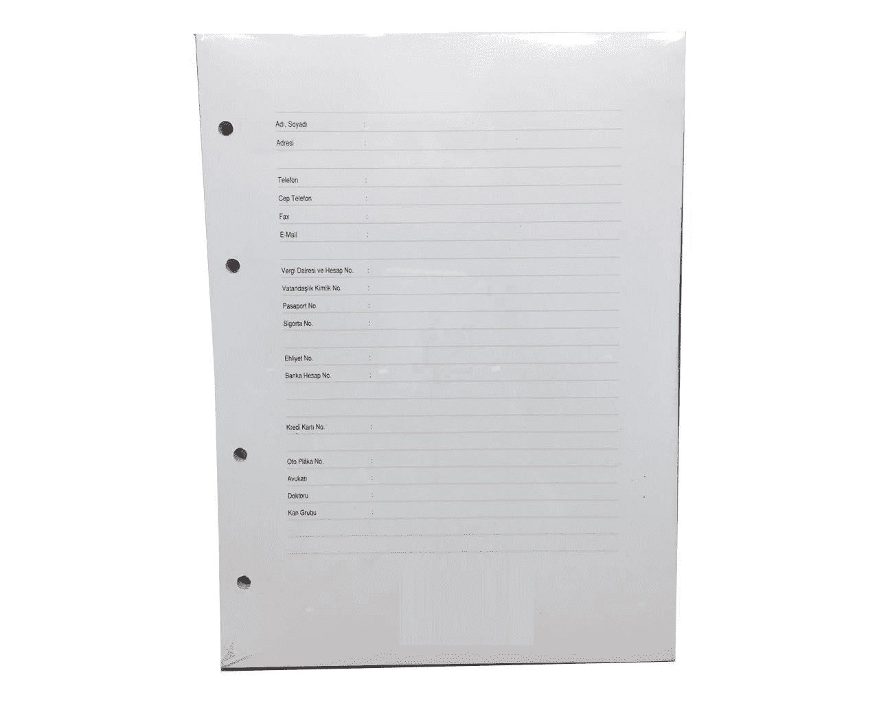 Prestij Cari Hesap Klasörü Yedeği A4