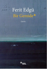 Bir Gemide