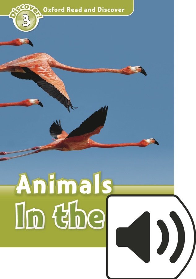 Read and Discover 3:ANIMALS IN THE AIR MP3