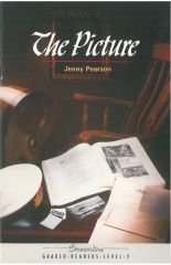 The Picture :Streamline Graded Readers Level 2
