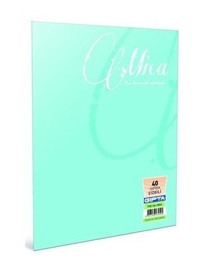 Gıpta Mica Tel Dikişli Plastik Kapak A4 40 Yaprak Kareli Defter