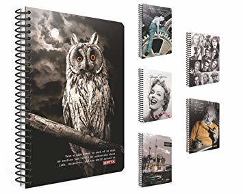 Gıpta Capital Spiralli Sert Kapak 100 Yaprak Çizgili Defter 17x24