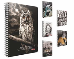 Gıpta Capital Spiralli Sert Kapak 100 Yaprak Çizgili Defter 17x24