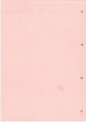 Umur Kolej Yedeği A4 Kareli Renkli