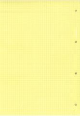 Umur Kolej Yedeği A4 Kareli Renkli