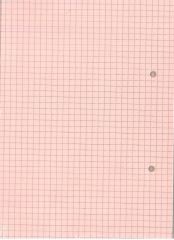 Umur Kolej Yedeği A5 Kareli