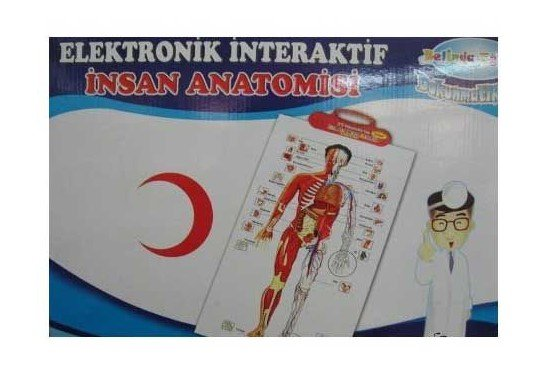 İnosmart Eğitim Gereçleri ( Oyuncak Eğitici Elektronik İnteraktif İnsan Anatomisi Vucudumuzu Tanıyalım )