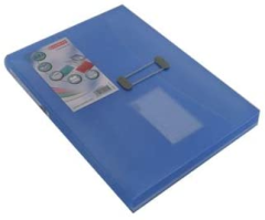 Esselte Mineral Kutu Dosya Lastikli Şeffaf 49023