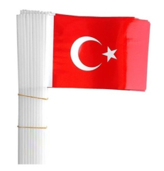 Plastik Saplı Türk Bayrağı 22 x 30 cm